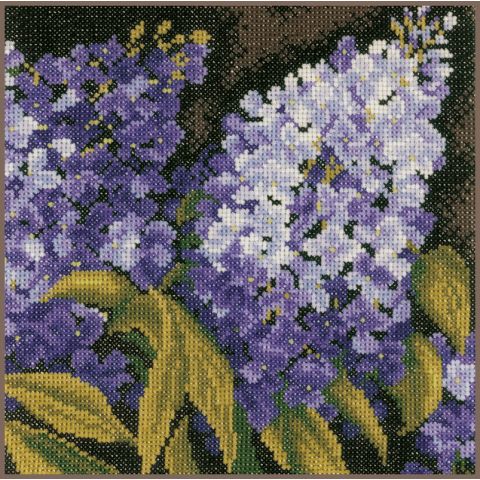 Lilac, pn-0144566, 18,5 x 18,5 cm