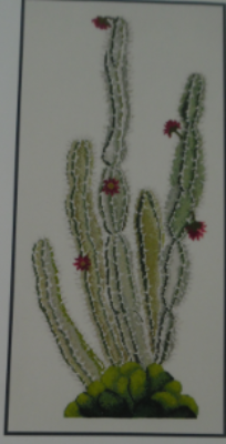 Cactus BK002, 60x 30cm