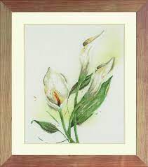 Calla lily flower, pn-0008015, 50 x 60 cm