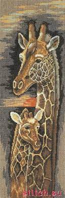 Mother and baby giraffe, pn0008033, 17 x 50 cm