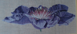 Passion Flower XC1073, 20 x 50 cm
