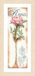 Pink rose, pn-0154334, 20 x 63 cm