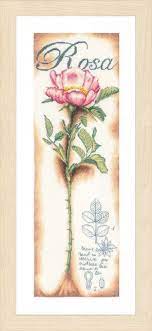 Pink rose, pn-0154334, 20 x 63 cm