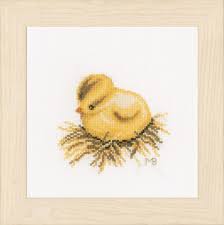 Chick, pn-0165384, 13 x 13 cm