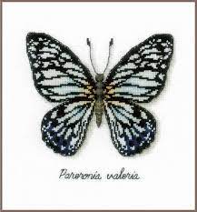 Blauwe vlinder, pn-0165403, 16 x 15 cm