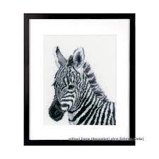 Zebra,  pn-0170836,  16 x 18  cm