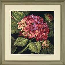 Hydrangea  bloom, 20053, 36 x 36 cm