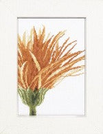 Close up orange flower, lanarte 35052n 17 x 23 cm