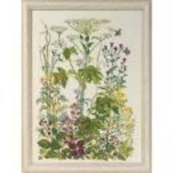 Wilde flora, 90-4153, 33 x 45 cm