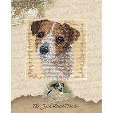 The Jack Russel Terrier, BK537, 14 x 14 cm