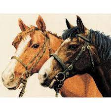 Horses, K5380, 43 x 35 cm