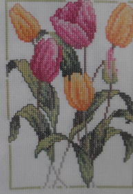 Royal Paris, Les tulipes 6.436-49