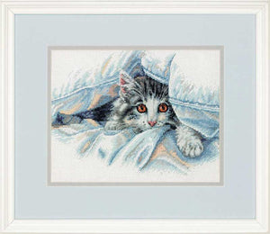 CAT COMFORT, 70-35341, 25 x 20 cm