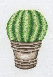 Cactus, 91-7444, 20 x 29