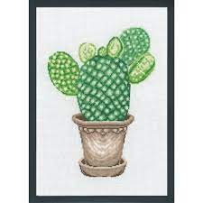 Cactus, 91-7445, 20 x 29 cm