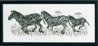 Zebras in gallop, 12-8325, 36 x 15 cm