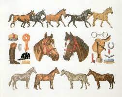 Paardenverzameling, 70-8490, 54 x 44 cm