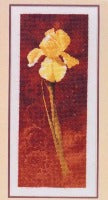 Iris, heritage john clayton 00599, 25,5 x 10 cm