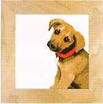 Adorable puppy, lanarte 35081 ,  20 x 20 cm