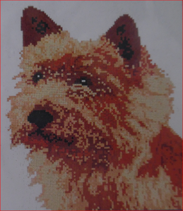 FACES Norwich Terrier DX265, 18,7 x  21,4 cm