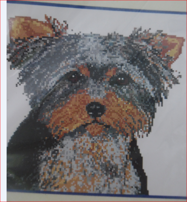 FACES Yorkshire Terrier DX327A, 22,1 x 20,7 cm