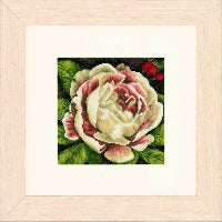 White rose, lanarte 0144517,  18,5 x 18,5 cm